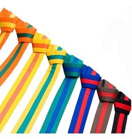 Colour Stripe Belts